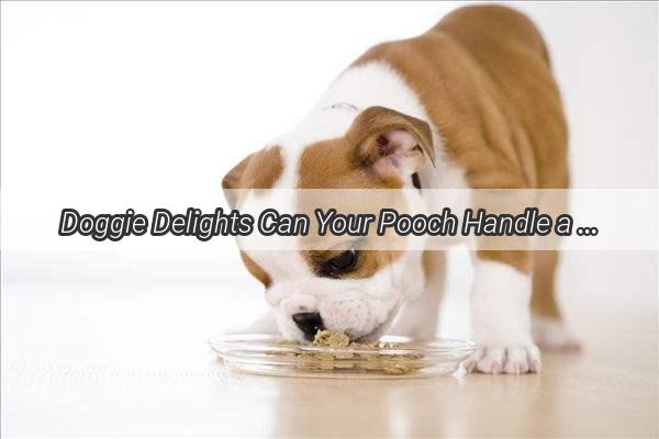 Doggie Delights Can Your Pooch Handle a Little Saltiness